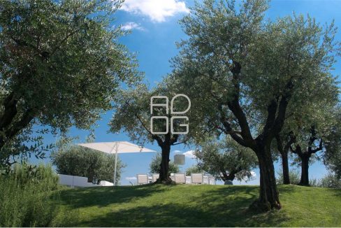 imm_70304-20251214225457-1280-_Watermark_png_mc