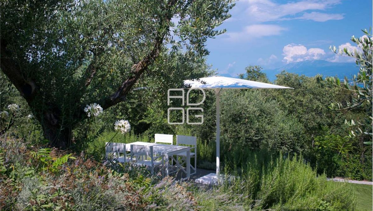 imm_70305-20251214225500-1280-_Watermark_png_mc