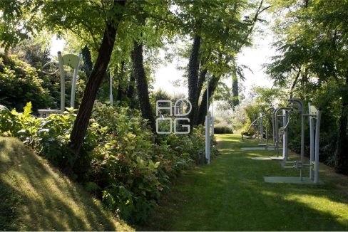 imm_70313-20251214225531-1280-_Watermark_png_mc