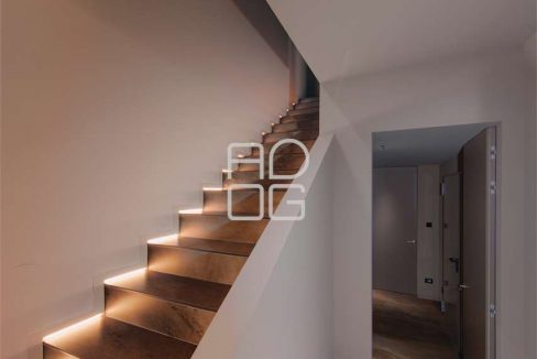 imm_70358-20251215074056-1280_Watermark_png_mc