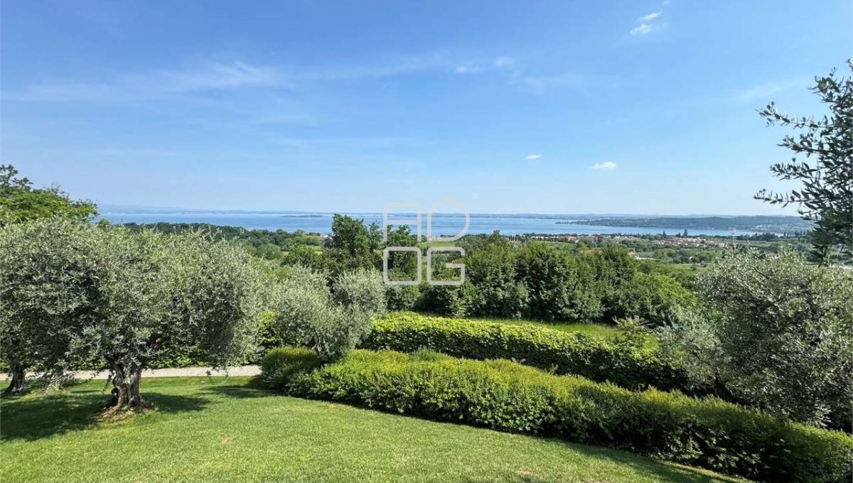 imm_70366-20251215074042-1280-_Watermark_png_mc