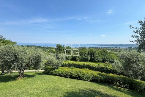 imm_70366-20251215074042-1280-_Watermark_png_mc