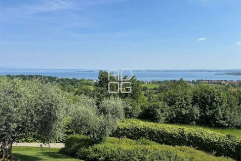 imm_70367-20251215074039-1280-_Watermark_png_mc