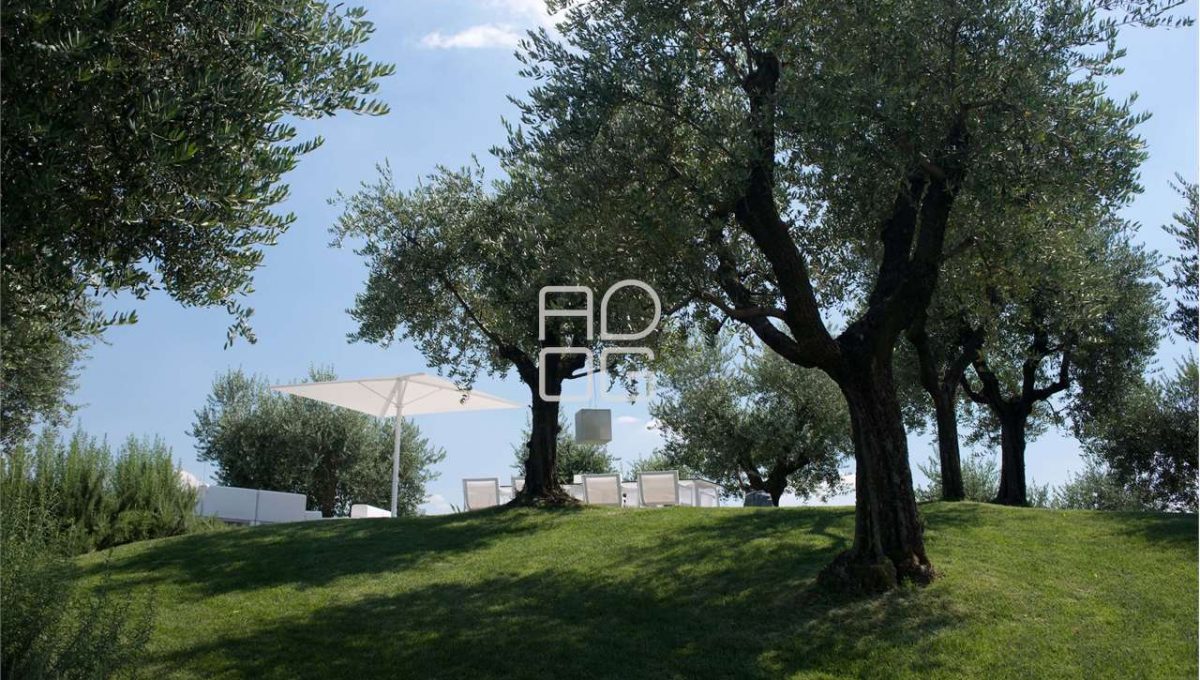 imm_70369-20251215074036-1280-_Watermark_png_mc