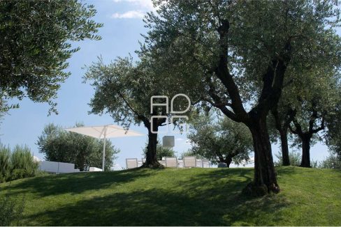 imm_70369-20251215074036-1280-_Watermark_png_mc