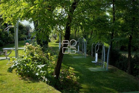 imm_70375-20251215074023-1280-_Watermark_png_mc