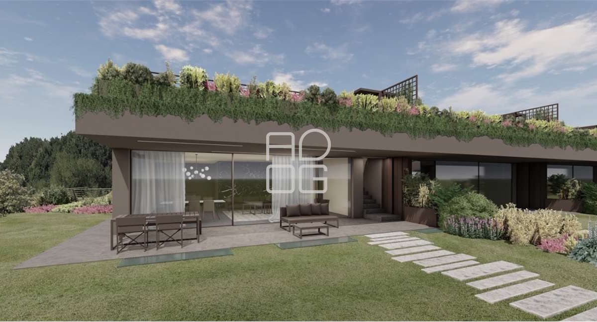 imm_70405-20251215085722-1280-_Watermark_png_mc