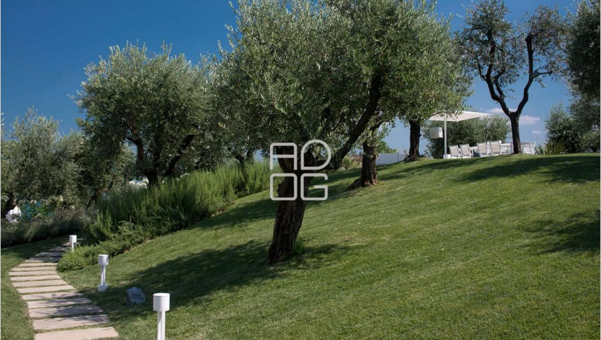 imm_70411-20251215090710-1280-_Watermark_png_mc