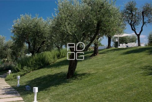 imm_70411-20251215090710-1280-_Watermark_png_mc