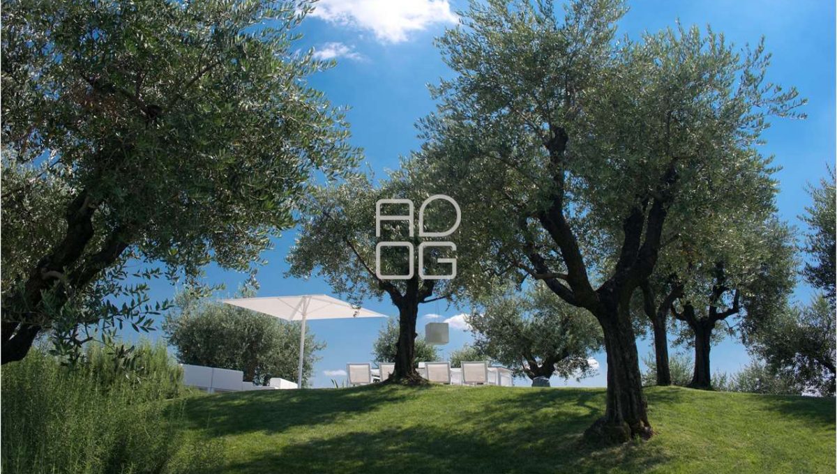 imm_70441-20251215153151-1280-_Watermark_png_mc