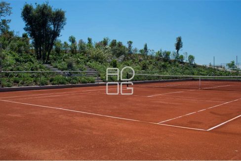 imm_70463-20251215153056-1280-_Watermark_png_mc