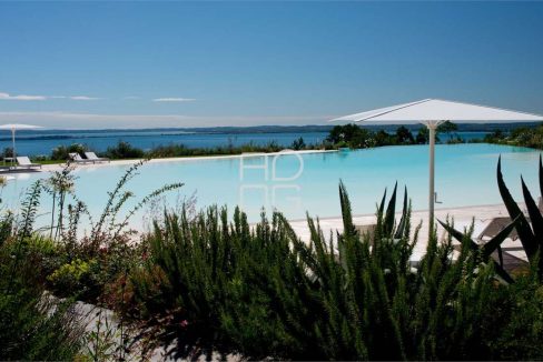 imm_70502-20251215174938-1280-_Watermark_png_mc