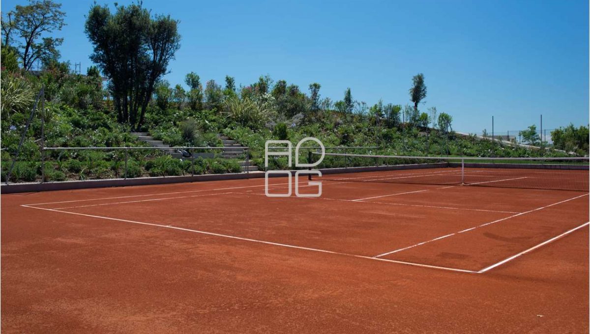 imm_70508-20251215174928-1280-_Watermark_png_mc