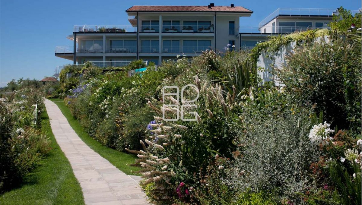 imm_70531-20251215175038-1280-_Watermark_png_mc