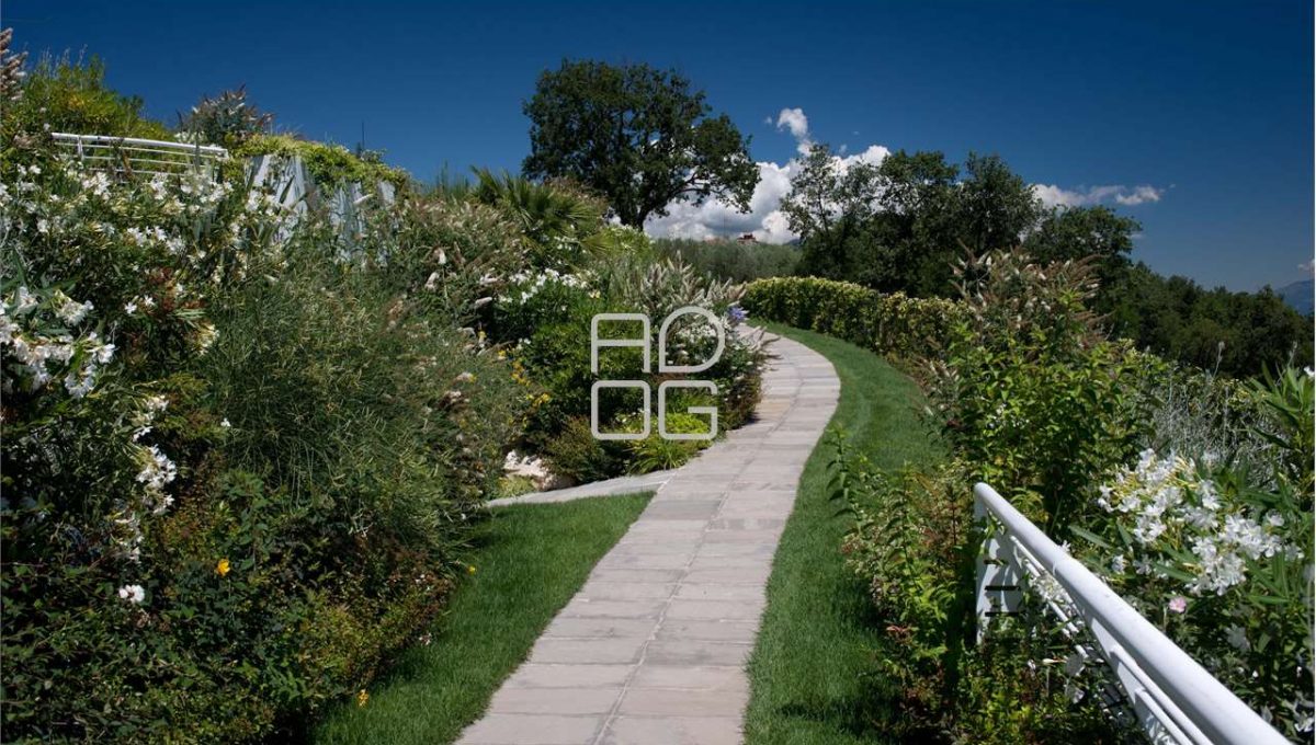 imm_70532-20251215175038-1280-_Watermark_png_mc