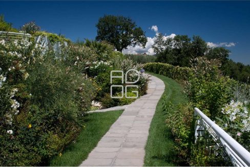 imm_70532-20251215175038-1280-_Watermark_png_mc