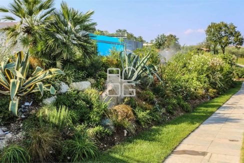 imm_70605-20251215183308-1280-_Watermark_png_mc