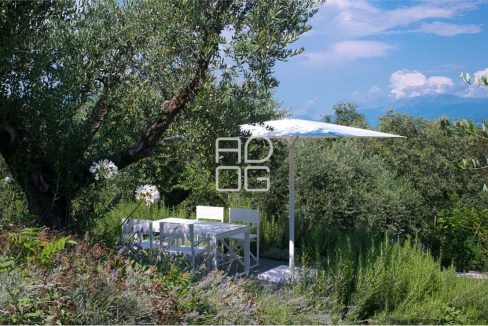 imm_70621-20251215183308-1280-_Watermark_png_mc