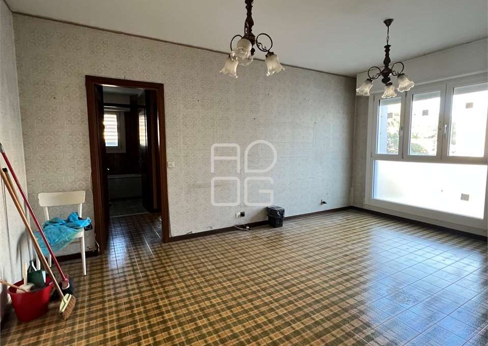 imm_70635-20251218100453-1280_Watermark_png_mc