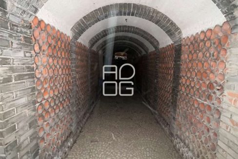 imm_70648-20251218095817-1280_Watermark_png_mc