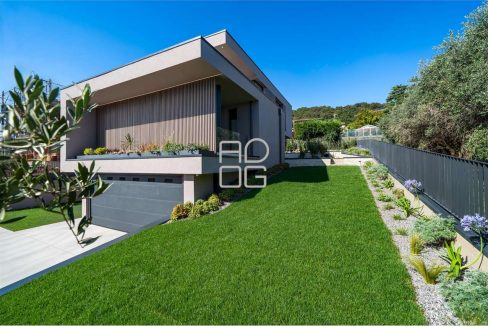 imm_70697-20251222194136-1280-_Watermark_png_mc