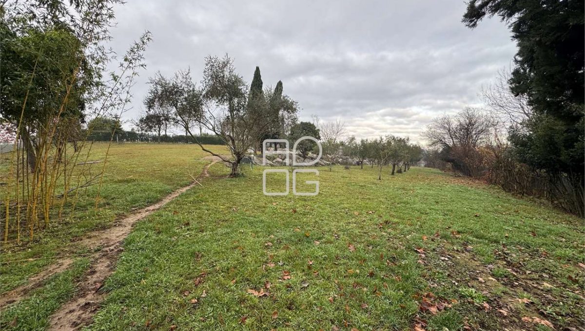 imm_70802-20251229090728-1280-_Watermark_png_mc