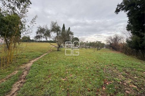 imm_70802-20251229090728-1280-_Watermark_png_mc