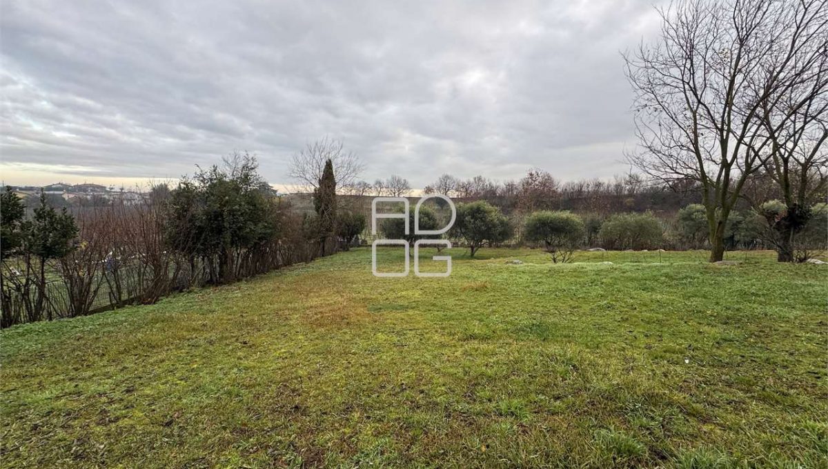 imm_70803-20251229090935-1280-_Watermark_png_mc