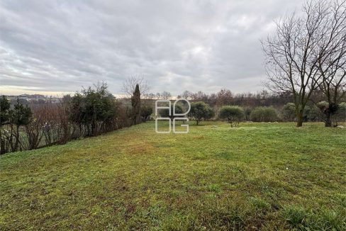 imm_70803-20251229090935-1280-_Watermark_png_mc