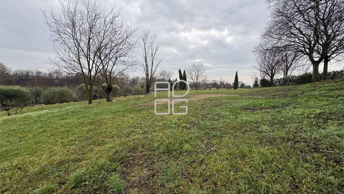 imm_70804-20251229090731-1280-_Watermark_png_mc