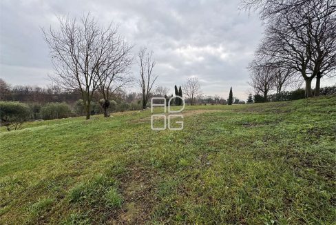 imm_70804-20251229090731-1280-_Watermark_png_mc