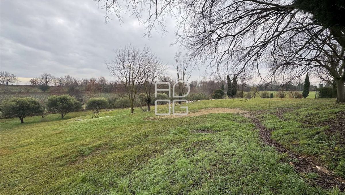 imm_70806-20251229090715-1280-_Watermark_png_mc