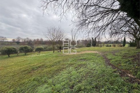 imm_70806-20251229090715-1280-_Watermark_png_mc