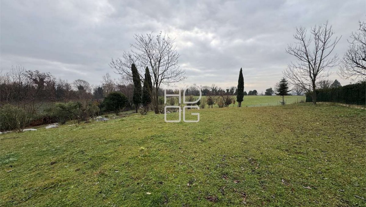 imm_70807-20251229090706-1280-_Watermark_png_mc