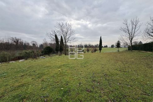 imm_70807-20251229090706-1280-_Watermark_png_mc