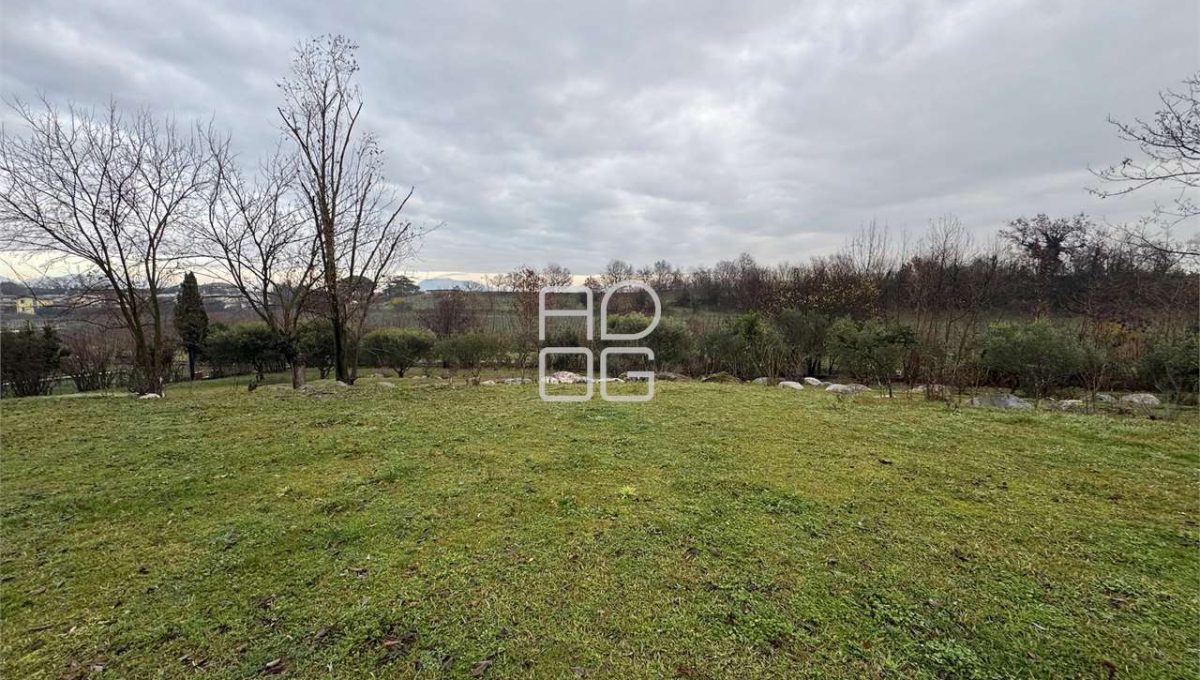 imm_70809-20251229090723-1280-_Watermark_png_mc