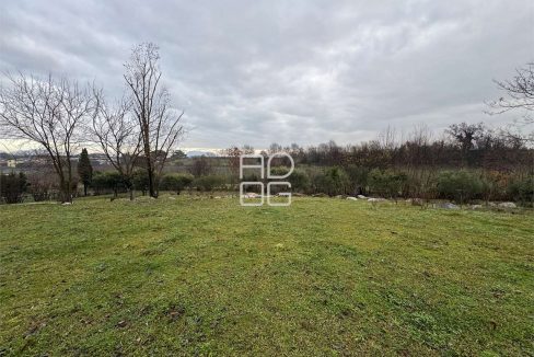 imm_70809-20251229090723-1280-_Watermark_png_mc