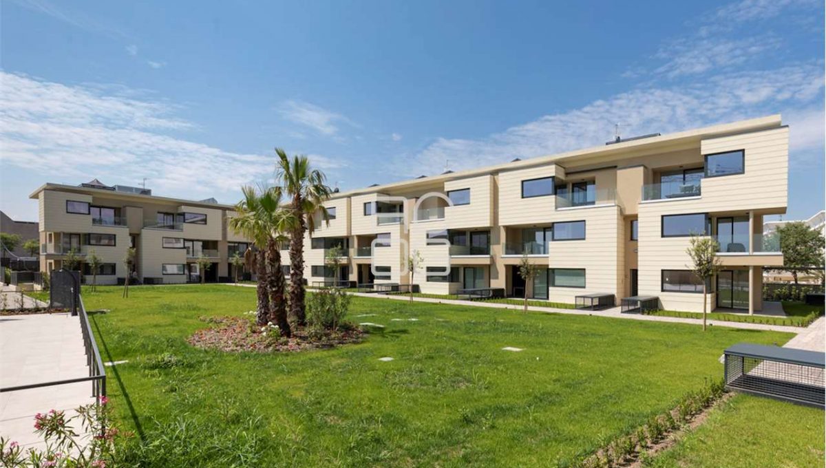 imm_65448-20250501102543-1280-_Watermark_png_mc