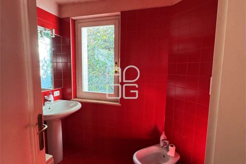 imm_69646-20251117075338-1280_Watermark_png_mc