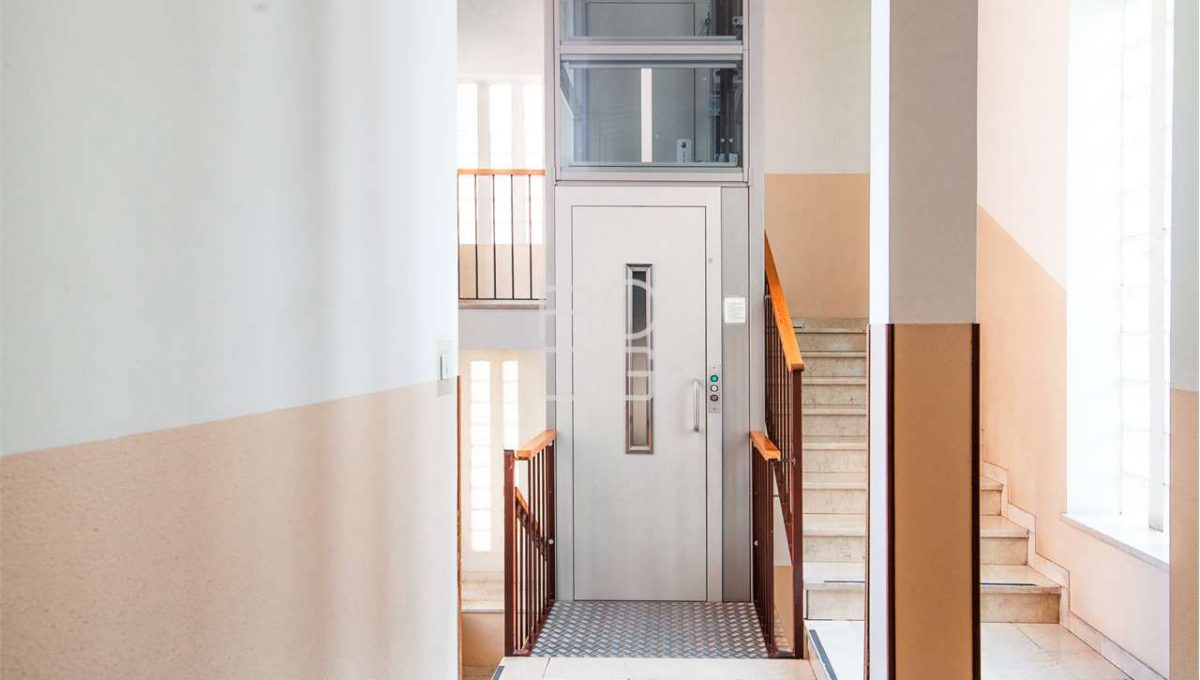 imm_70929-20260115133206-1280-_Watermark_png_mc