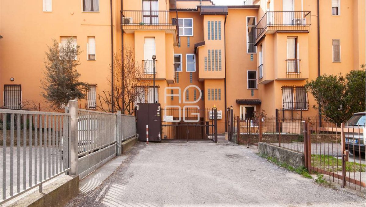 imm_70930-20260115133115-1280-_Watermark_png_mc