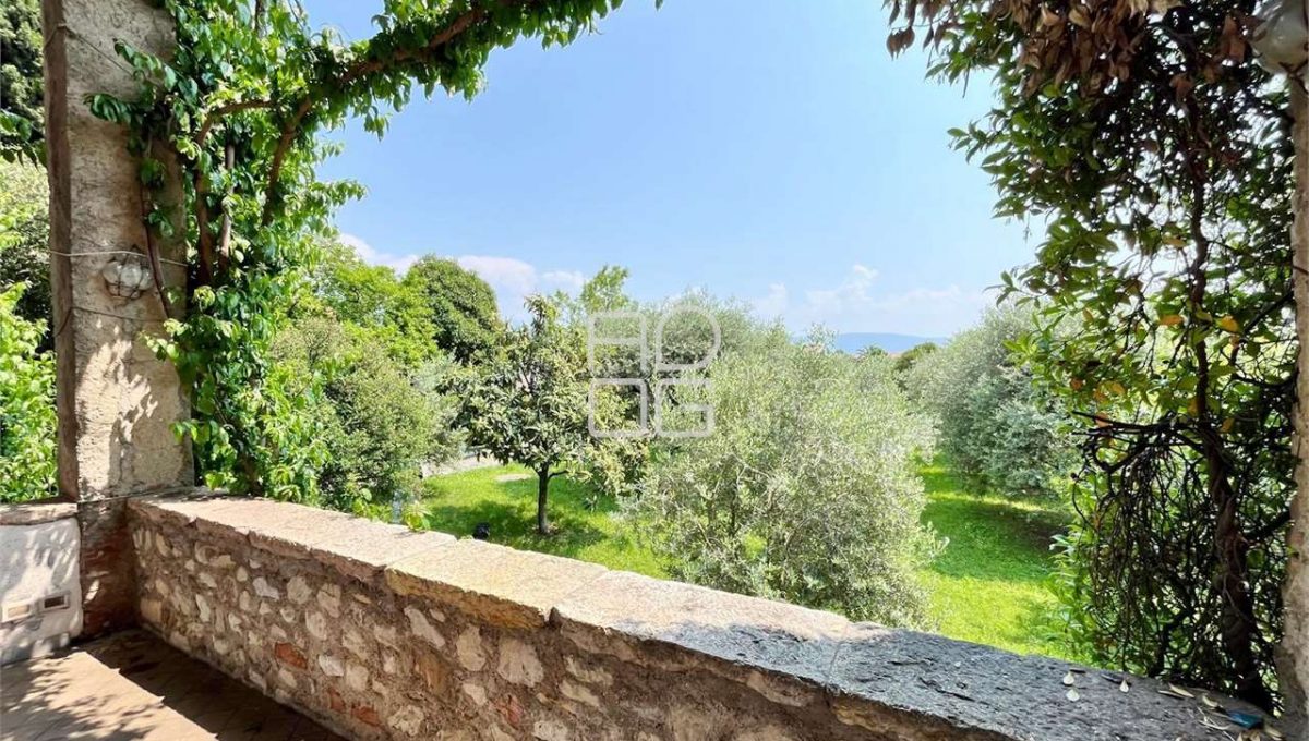 imm_71041-20260116172705-1280-_Watermark_png_mc