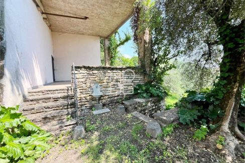 imm_71042-20260116172711-1280-_Watermark_png_mc