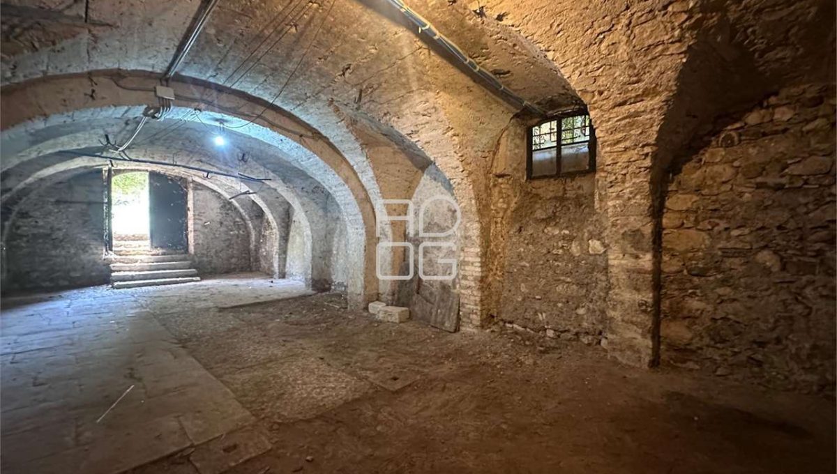 imm_71047-20260116173705-1280-_Watermark_png_mc