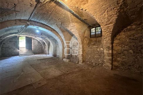 imm_71047-20260116173705-1280-_Watermark_png_mc