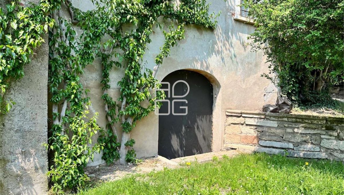 imm_71048-20260116172720-1280-_Watermark_png_mc