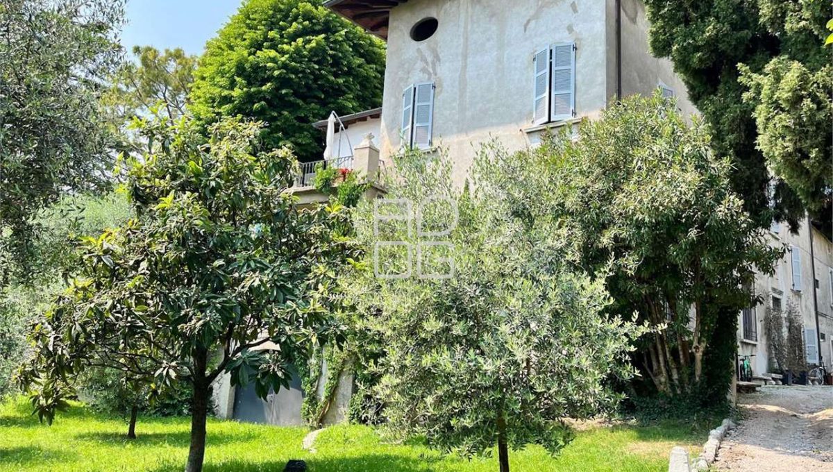 imm_71050-20260116172246-1280-_Watermark_png_mc