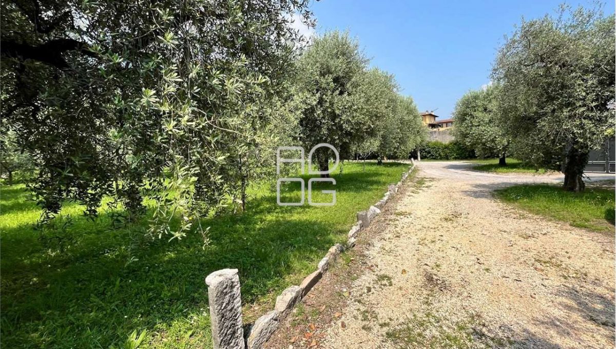 imm_71053-20260116172451-1280-_Watermark_png_mc