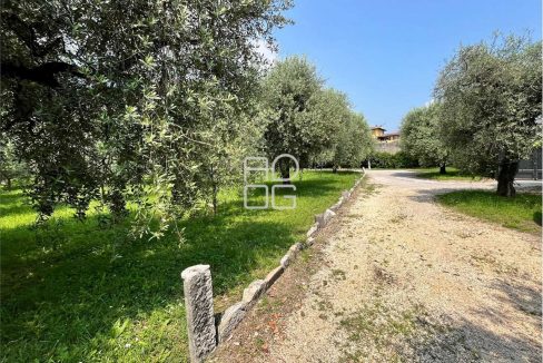 imm_71053-20260116172451-1280-_Watermark_png_mc