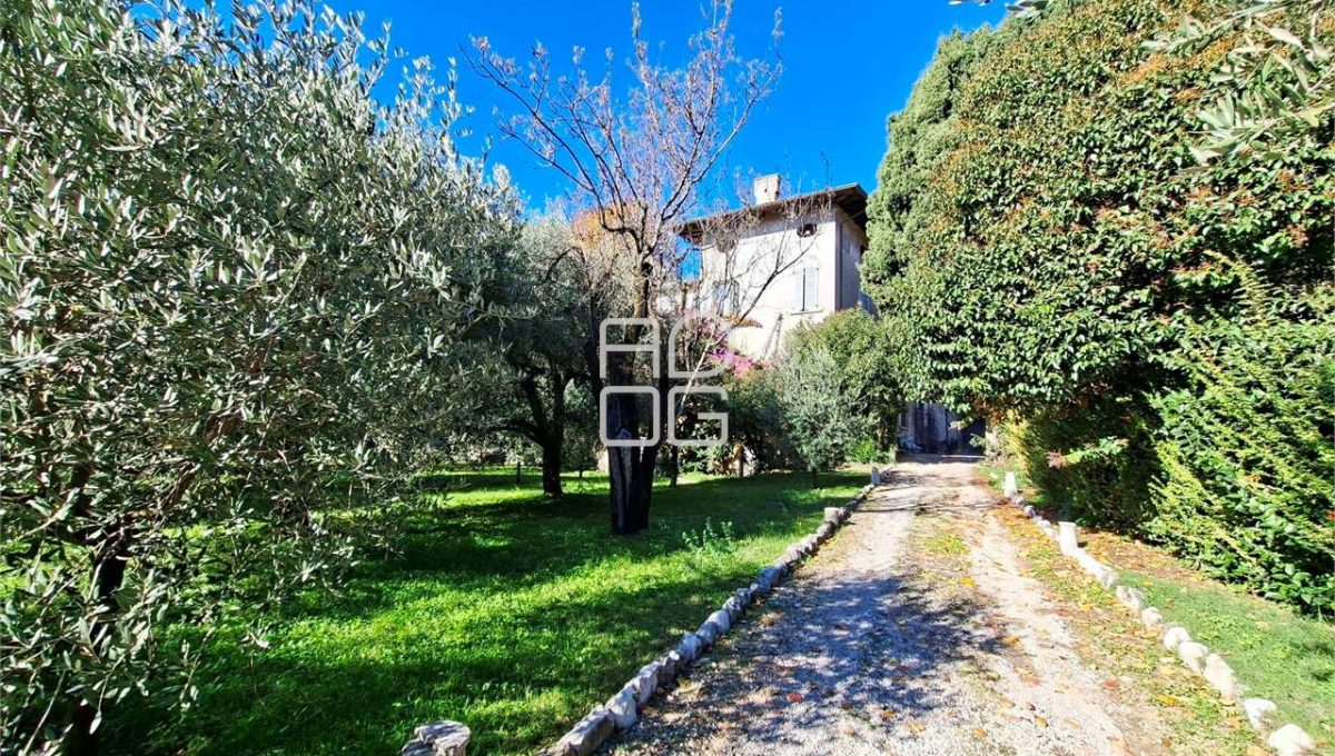 imm_71055-20260116172729-1280-_Watermark_png_mc